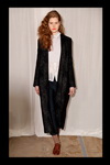 Araks 2011 ﶬ