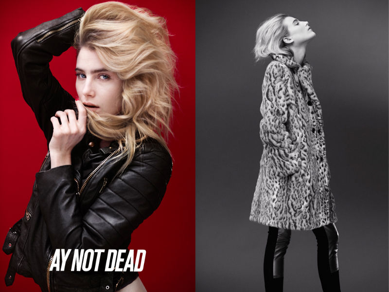 AY Not Dead 2011ﶬϵЏV DƬ