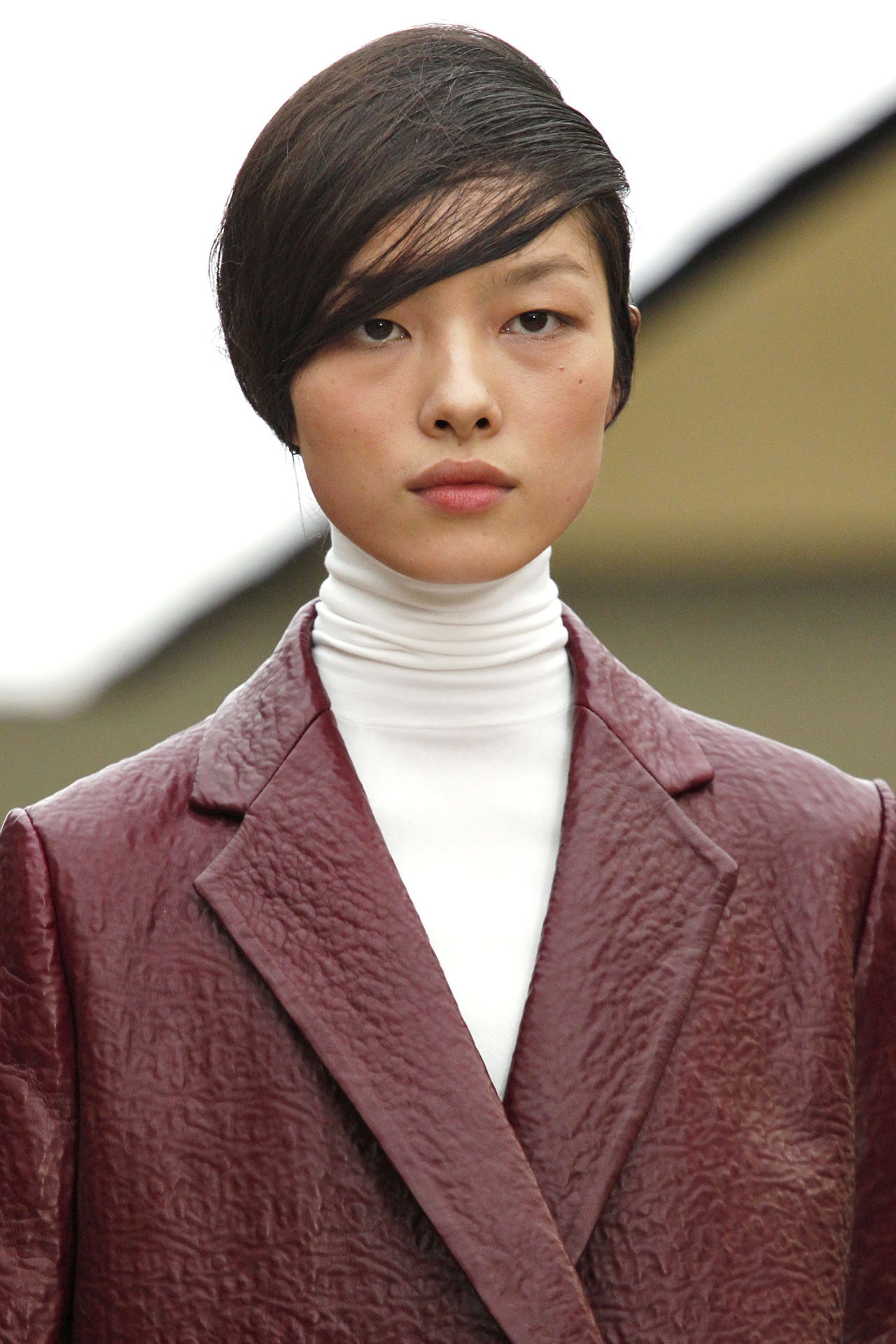 Celine 2011ﶬ(x)(ji)DƬ