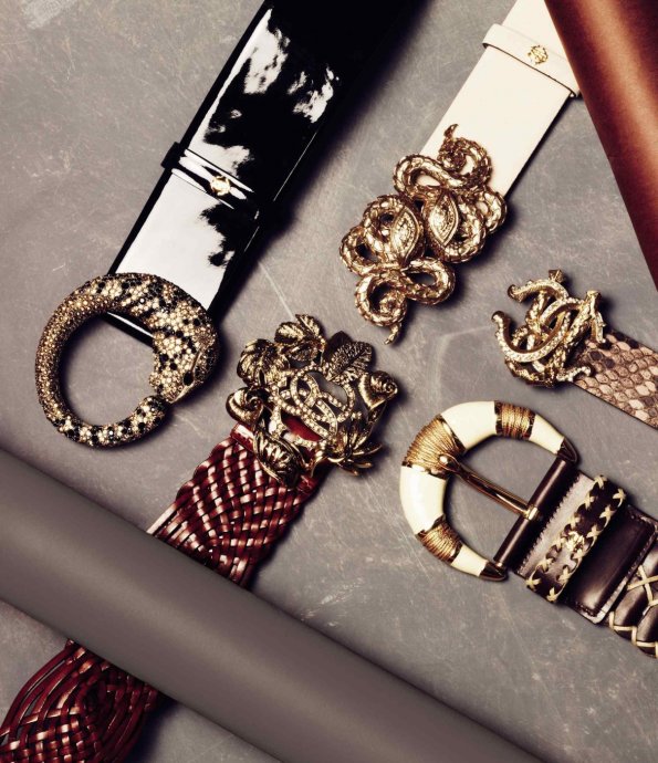 Roberto Cavalli 2011 LookBookDƬ