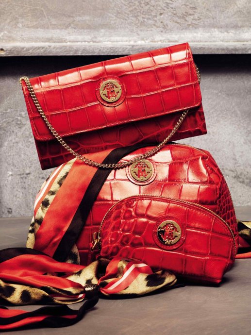 Roberto Cavalli 2011 LookBookDƬ