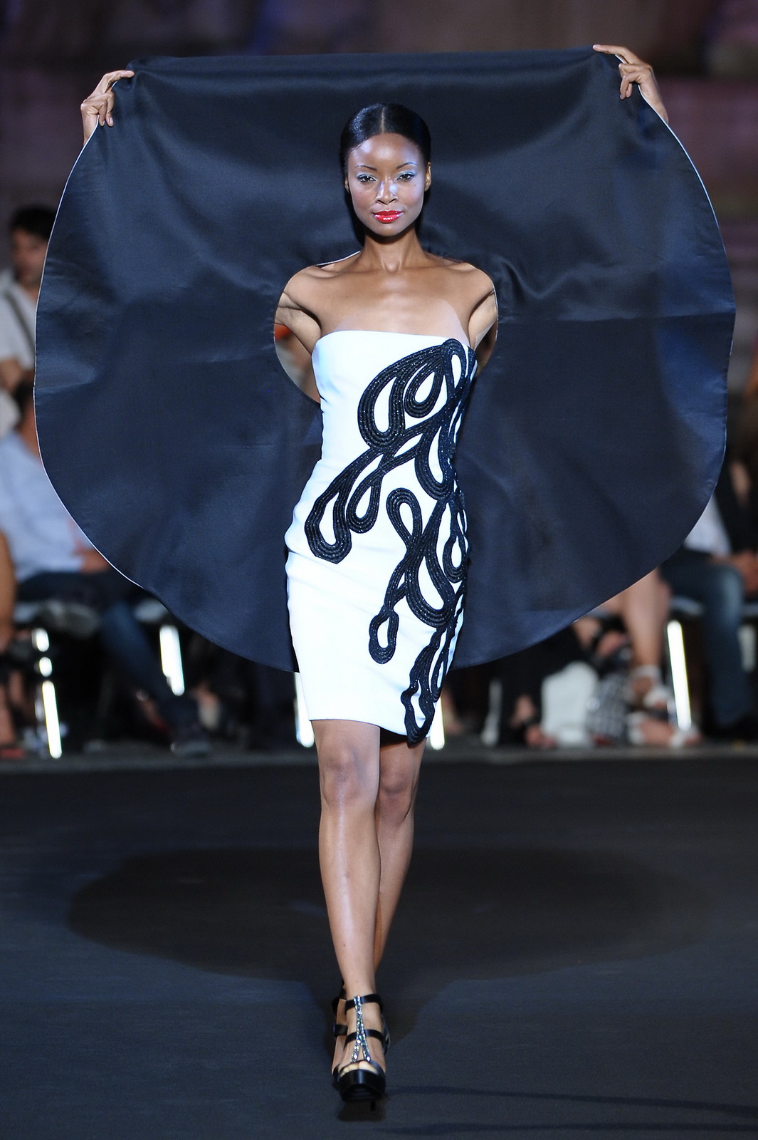 Fausto Sarli 2011ﶬDƬ