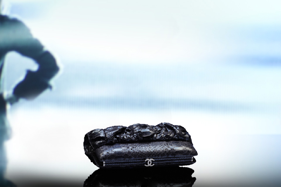 Chanel 2011 秋冬包Lookbook