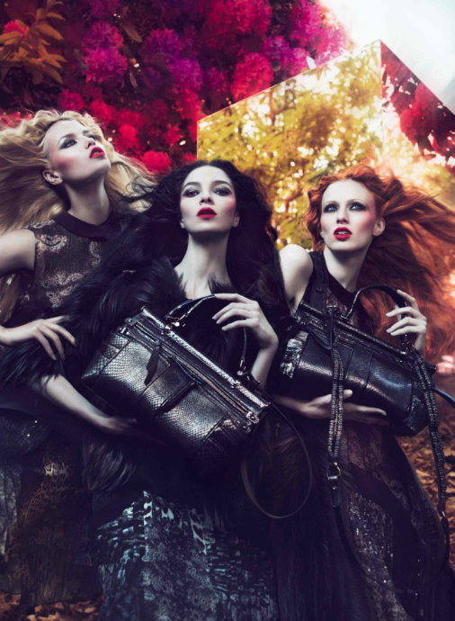 Roberto Cavalli 2011ﶬV DƬ