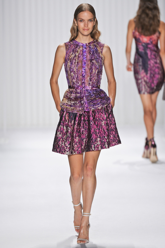 J. Mendel 2013DƬ