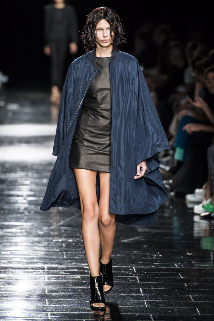 Theyskens Theory 2013DƬ