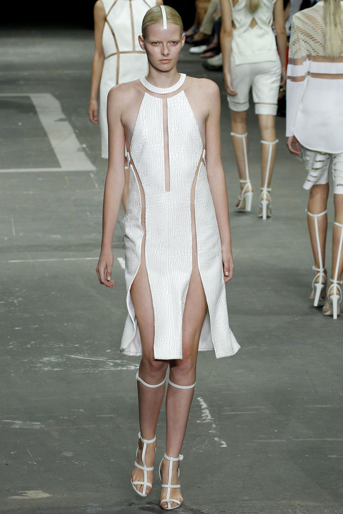 Alexander Wang 2013(chng)DƬ