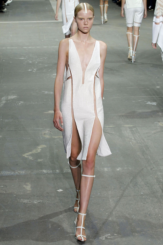 Alexander Wang 2013(chng)DƬ