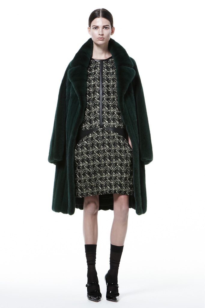 J. Mendel 2013DDƬ