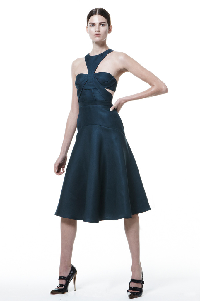 J. Mendel 2013DDƬ