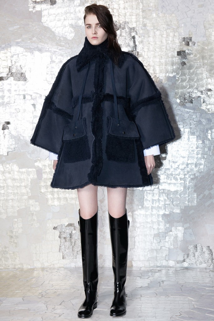 Acne 2013 L(fng)ookbookDƬ