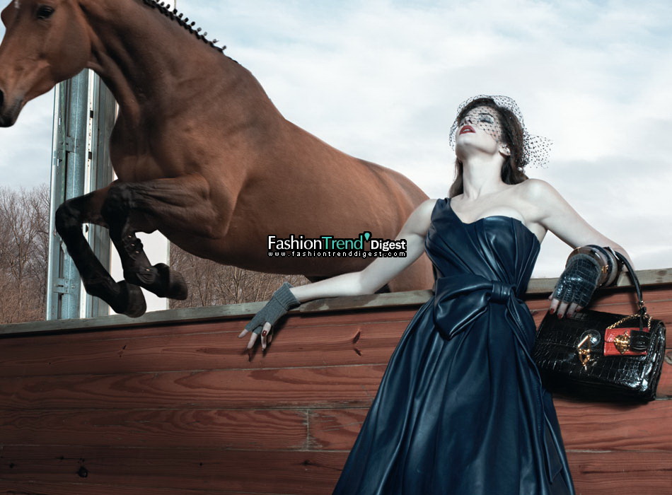 Loewe 2008ﶬVDƬ